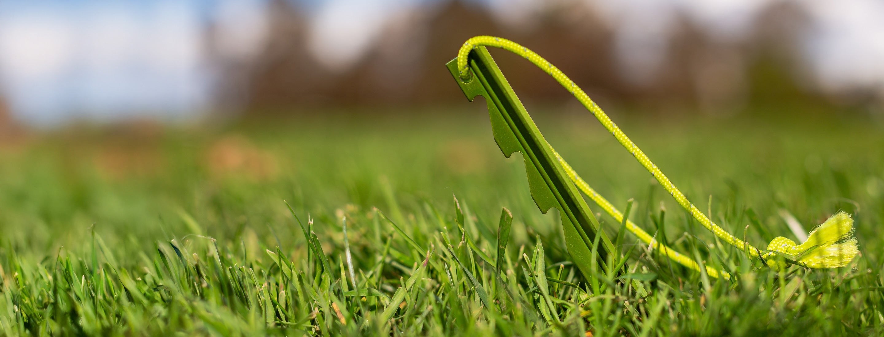 Green peg on grass with a blurred background